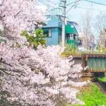 【動画】駅員「撮り鉄おるからハイビームしたろｗ」→撮り鉄さんの反応がヤバすぎるｗｗｗｗｗｗｗｗｗｗ
