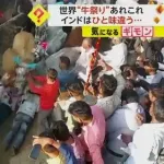 【動画】インドの暴れ牛を村人が撃退する映像、ガチで情報量が多すぎるｗｗｗｗｗｗｗｗｗｗ