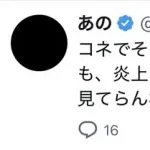 【悲報】あのちゃん、我慢の限界「炎上でしか話題になれない奴のドヤ顔は見てられない」