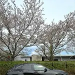 【悲報】新型クラウンさん、ガチで様子がおかしいｗｗｗｗｗｗｗｗｗｗ