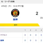 【試合結果】ヤクルト0-2阪神　雨天コールド負け…奥川5回2失点