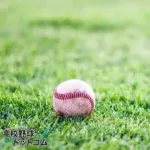 元中日イ・ジョンボム「後悔している」過去にバラエ番組出演のためにプロコーチを辞任
