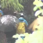 【悲報】京都男児行方不明、かなり厳しそう