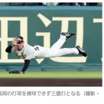 阪神の若手のレフト守備ｗｗｗｗｗｗｗｗｗｗ