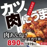 【画像】かつやの新メニューがうまそうだと話題ｗｗｗｗｗｗｗ