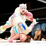 【動画】フワちゃん、プロレスでも炎上ｗｗｗｗｗｗｗｗｗ