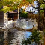 【悲報】スーパー銭湯とかいう施設、ガチで何がそんなにいいんだよｗｗｗｗｗｗｗｗｗｗ