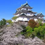 【悲報】和歌山県で住みたいところ、マジで1つもないｗｗｗｗｗｗｗｗｗｗ