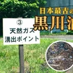 【悲報】日本さん、油田も天然ガスもあるのに誰も掘ろうとしないｗｗｗｗｗｗｗｗｗｗ