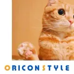 【朗報】ネコ動画、大食い動画、子供出し動画、麦茶の会社立ち上げ報告動画、全部収益化停止されるｗｗｗｗｗｗｗｗｗｗ