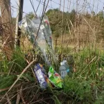 京都の遺体発見ってやつさ