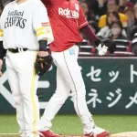 楽天辰己涼介　打撃S 守備S 走塁S 人気S