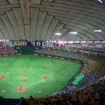 プロ野球の応援団って何者？