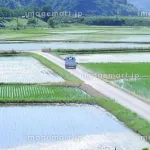 【悲報】都会のサラリーマンさん、田舎で農家にもなれず惨めに暮らしてしまう・・・・・・・・・