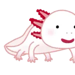ウーパールーパーの正式名称おまえら言えなそうw