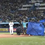 ヤクルト・オスナのバットがすっぽ抜け、球審の頭部に当たるアクシデント　担架で退場、球場騒然