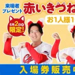広島ズムスタに日ハム公式チア『ファイターズガール』来場！『赤いきつねの耳カチューシャ』も配布【交流戦】