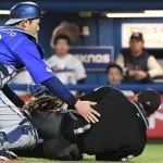 オスナのバット直撃を喰らった川上審判員が緊急手術　昨日が1軍初試合