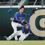 中日、6回の交錯で細川「僕のボールだと」、花田も「センターのボールだと」お互いに声は出していたが浜風でレフト方向へ逃げていく打球が判断を難しく
