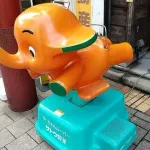 【衝撃】「悲惨な死に方をしたゾウ」ランキングさん、とんでもない結果になってしまうｗｗｗｗｗｗｗｗｗｗ
