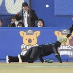日本ハムファイターズ、エラー数とホームラン数が群を抜いている