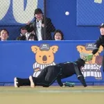 日ハム、1試合5エラーｗｗｗｗｗｗｗｗｗｗｗ