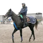 皐月賞　外から差すには厳しい馬場状態