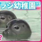 1番「そういえばそんなのあったな」ってもの挙げたやつ優勝