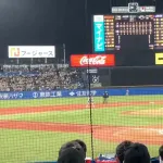 昨日のY-泉口の守備ＷＷＷＷＷＷＷＷＷＷＷＷＷＷＷＷＷＷＷＷＷＷＷＷ