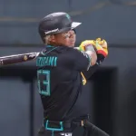 【日本ハム】水谷瞬、逆転タイムリー「やるかやられるか。やりました！」｜西武戦｜打った瞬間の反応まとめ｜4/18