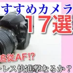 【動画】電車さん「撮り鉄おるな…ハイビームにしたろｗ」ｗｗｗｗｗｗｗｗｗｗ