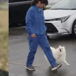ポメラニアン警察犬、爆誕🐶ｗｗｗｗｗｗｗｗ