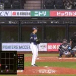 【日本ハム対西武3回戦】球場騒然 日本ハム・水谷に送球が直撃 倒れこむ