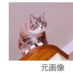 【朗報】最近のAVのモザイク破壊技術、ガチで進化しすぎててとんでもないことになるｗｗｗｗｗｗｗｗｗｗ