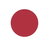 【悲報】「国旗損壊罪、私物の国旗まで対象にしろ」←これ・・・・・・・・・