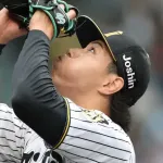 阪神・工藤泰成は来年のクローザー確定でいいよな