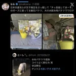 【悲報】サヨクさん、辺野古で亡くなった女子生徒に「犬の水飲みバケツ」で献花して炎上してしまう・・・・・・・・・