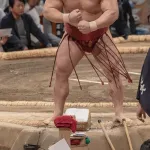 【画像】力士、ムキムキだった