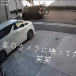【悲報】ロードバイクさん、ガチで漫画みたいな勢いで車に突っ込んでしまうｗｗｗｗｗｗｗｗｗｗ