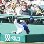 甲子園カメラマン席改修検討へ　中日・福永の転落、負傷を受け「囲い」の防護ラバーを広げる案など