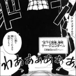 クロコダイル（懸賞金8100万）←こいつが七武海になれた理由ｗｗｗｗｗｗｗｗ