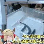 【朗報】1番シコい女Vtuber、ガチで決まってしまうｗｗｗｗｗｗｗｗｗｗ
