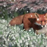 【悲報】PS5やSwitch2ユーザーさん、いつまで高グラフィックゲームにお金をかけるのかと言われてしまうｗｗｗｗｗｗｗｗｗｗ