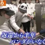 【悲報】パンダが居なくなった動物園さん、画期的な体験ツアーを企画してしまうｗｗｗｗｗｗｗｗｗｗ