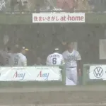 ロッテvsソフトバンク、めっちゃ土砂降りで試合中断