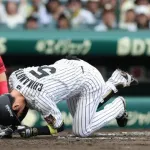 阪神近本、高の死球で手首骨折。カープファン謝罪。