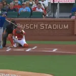 【動画】メジャーでオスナやった結果