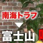【悲報】京大教授さん「南海トラフ地震は10年後で国民の半数が被災、それに誘発されて富士山も噴火。被害300兆円」ｗｗｗｗｗｗｗｗｗｗ