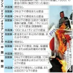 【悲報】「人気アーティスト」さん、国旗損壊罪に反対を表明してしまうｗｗｗｗｗｗｗｗｗｗ