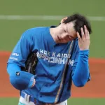 北海道日本ハムファイターズ←順調に成長してたこいつが突然失速した理由